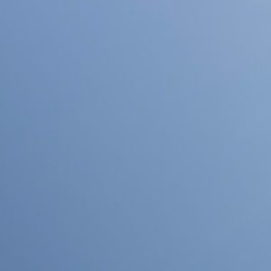 Meet your Posher, Jayla